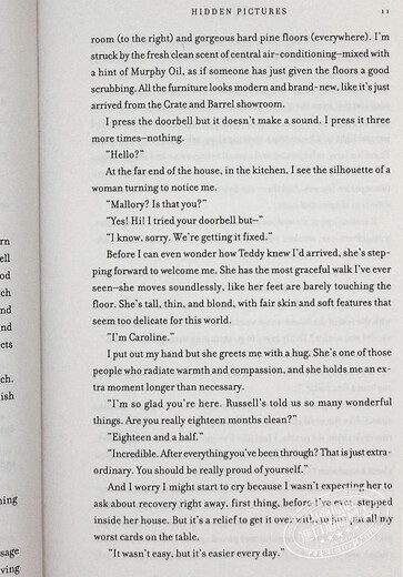 隐藏图片 Hidden Pictures 英文原版 Jason Rekulak 国际悬疑惊悚小说