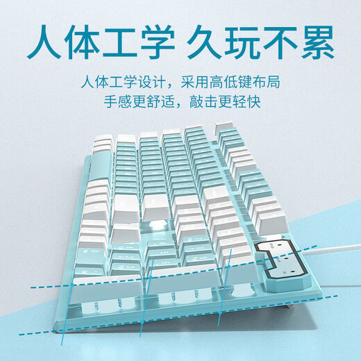 Zweifarbiges Wrangler-Tastatur- und -Mausset mit mechanischer Haptik, kabelgebunden, universell für Bürocomputer und Notebooks für Mädchen, schwarzes Mischfarbenlicht, mechanische Haptik, einzelne Tastatur, ein Jahr Garantie