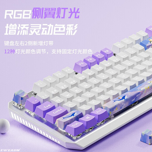 前行者 TK870鲸如紫水机械键盘87\/104键有线女生办公游戏电竞可爱小型电脑笔记本外接 白紫双拼-白光104键【多媒体旋钮-30种灯效】 通用茶轴