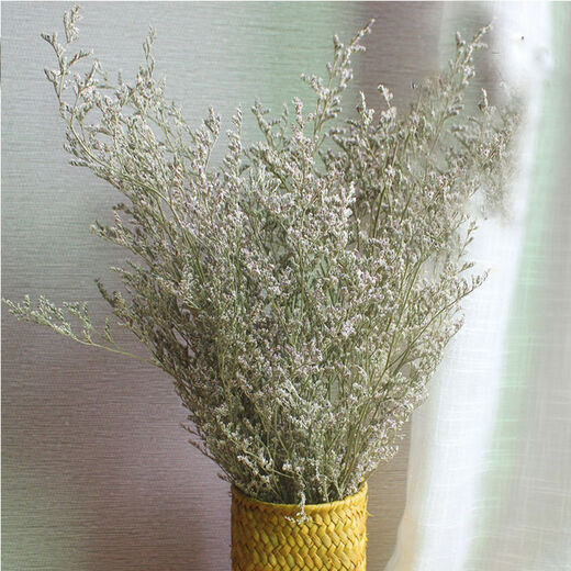 AIMAN dried flowers eucalyptus leaves Nordic style ins Nordic style small fresh living room ornaments diy home decoration ornaments SN Lover's grass a bunch without bottle 250g to dry