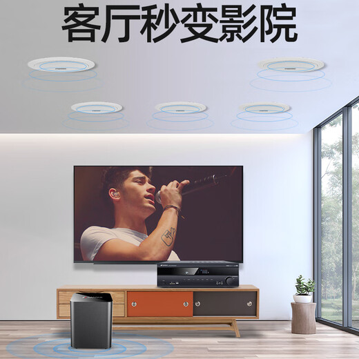 山水（SANSUI）T2 吸顶音响喇叭 5.1家庭影院音响套装 背景音乐客厅 吊顶喇叭 音箱功放家用 T2【900W功放+6.5吋喇叭*5+8吋炮】