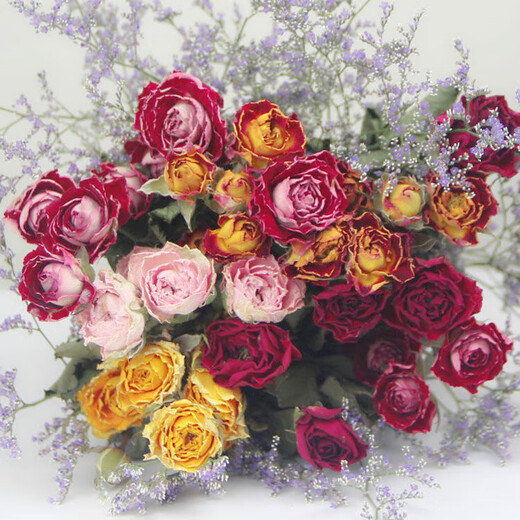 Love Yunnan Natural Rose Dried Flower Bouquet Living Room Decoration Lucky Rose Dried Flower Real Flower Decorative Ornaments Air-dried and Roasted Colored Rose Bubbles Randomly About 30 Heads