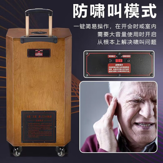 MALONE outdoor square dance audio high-power heavy bass live broadcast singing karaoke performance with Bluetooth sound card wireless microphone portable trolley speaker 10-inch audio + 18.5-inch karaoke machine 500G official standard configuration