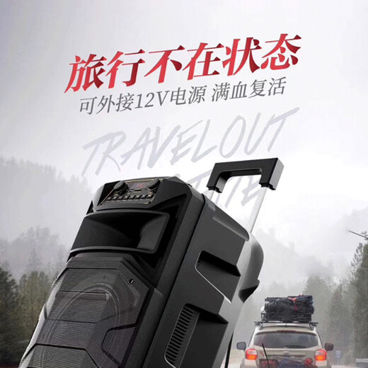 TEMEISHENG SL12-31Pro outdoor square dance karaoke audio high-power portable trolley Bluetooth mobile speaker 12-inch standard + 2 wireless microphones + gift bag (gift)