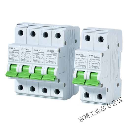 Shanghai People's SCB rear surge protection device SPD surge protector SCB backup protector 100K 20KA 2P