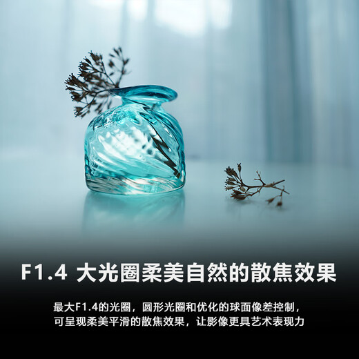 Sony (SONY) E 15mm F1.4 G ultra-wide-angle fixed focus G lens, lightweight and large aperture (SEL15F14G)