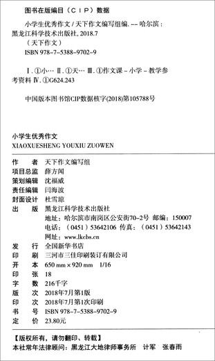 【S】小学生优秀作文天下作文编写组 编 书籍9787538**7029