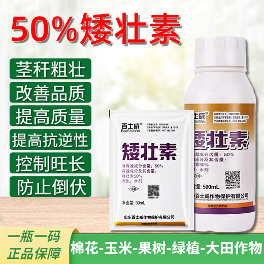 Dwarf dwarf narcissus flower dwarf dwarfing agent dwarf dwarf dwarfing agent dwarf dwarf dwarf dwarf dwarf dwarf dwarf dwarf dwarf dwarf dwarf dwarf dwarf dwarf dwarf dwarf dwarf dwarf dwarf dwarf dwarf dwarf dwarf dwarf dwarf dwarf dwarf dwarf dwarf dwarf dwarf dwarf dwarf dwarf dwarf dwarf dwarf dwarf dwarf agent 30ml