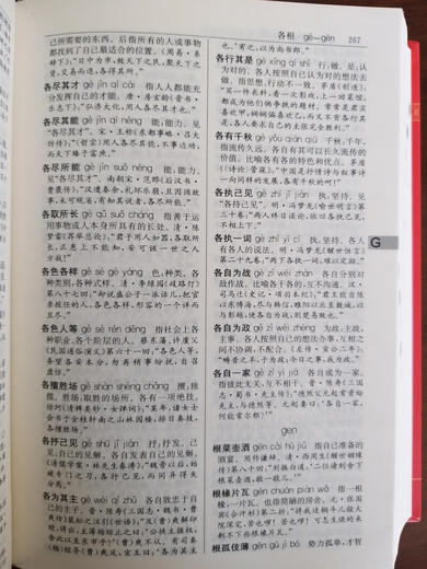 中华成语大词典（精编版）