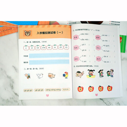 幼小衔接冲刺练习-语文297875493**834