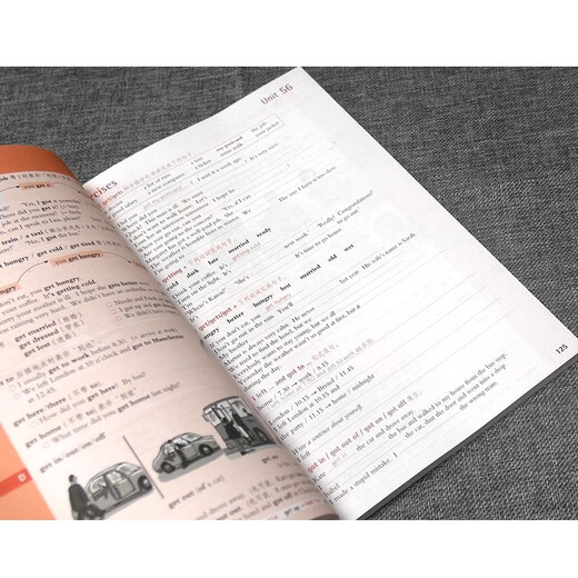 剑桥初级英语语法+练习 第三版中文版 外研社 英语在用 剑桥初级英语语法