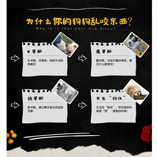 Hanhan Paradise Dog Snacks Puppies dents de dents broyant bâtons de compagnie collations de chien mord