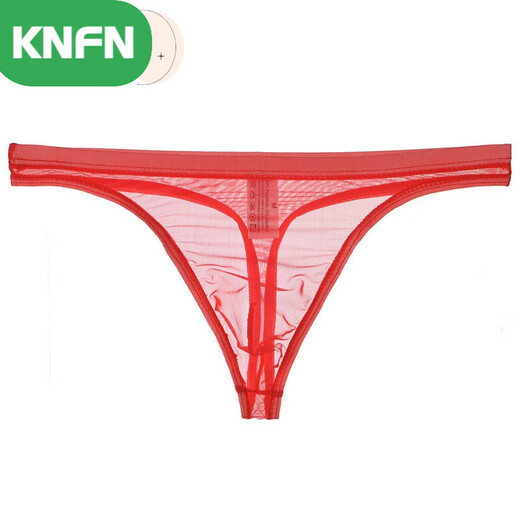 KNFN Men's Nude Transparent Thong Thin Mesh Sexy Underwear Love 1 Fun Temptation 1 Temptation Breathable Men's Youth Pants Light Blue M