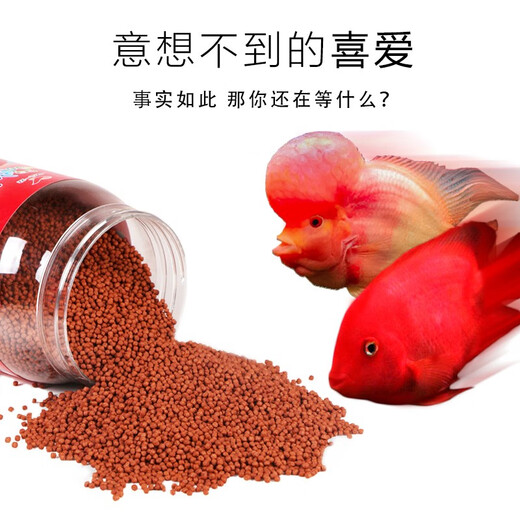 Parrot unificado alimento para pescado alimento para loros de color pez