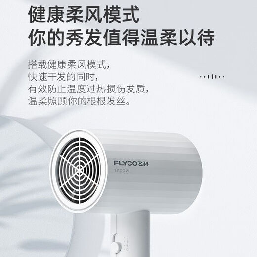 飞科电吹风机家用大功率吹风机冷热分恒温发廊用1800W吹风筒 飞科旗下博瑞速干绿色FH6296(1628) 吹风机标配