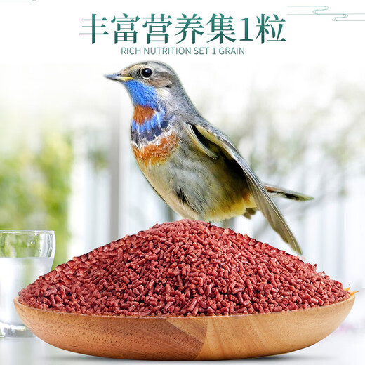 Kaiyuan (KO) bird food bird food feed pigeon pet bird food grain staple food 250g 1 can full price indigo bird food