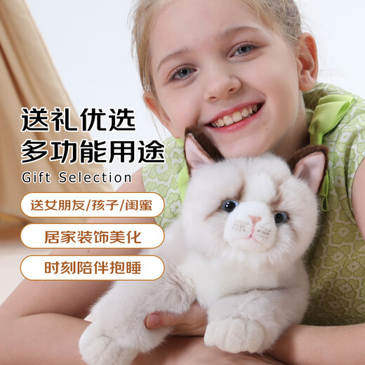 Cometa trapo Ragdoll Cat Plush Toy Doll Doll Doll Adornos almohada Valentín de San Valentín Regalos de curación para novia