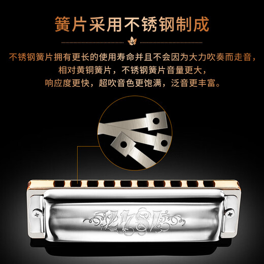 SEYDEL德国进口SEYDEL赛德 十孔10蓝调成人口琴 1847 CLASSIC 10孔D调