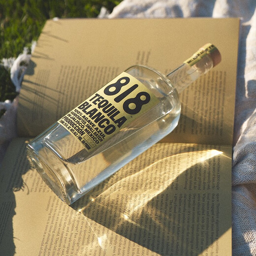 詹娜818金/银/陈酿龙舌兰酒TEQUILA肯达尔詹娜肯豆墨西哥进口洋酒 Blanco银龙舌兰 750mL 1瓶
