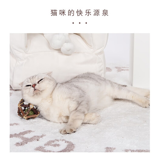 Pilot Cat Toy Funny Cat Self-Happiness Cat Mint Ball Kitten Adult Cat Teething Stick Mu Tian Polygonum Toy Mu Tian Polygonum Cat Mint Ball