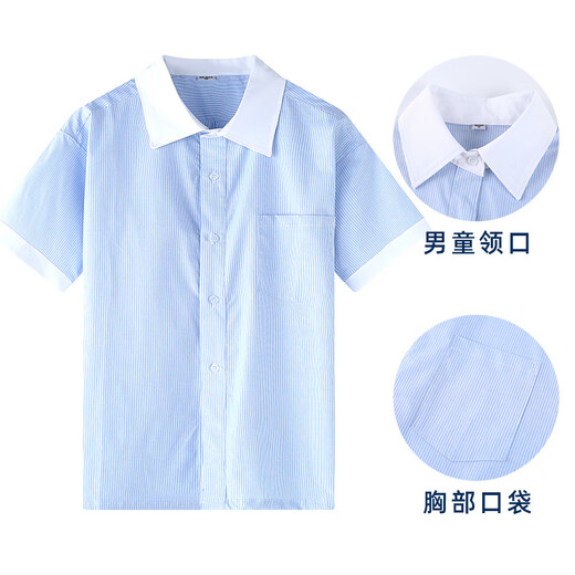 Xin Yueqing children's summer short-sleeved shirt for boys and girls, primary and secondary school uniform shirt, white collar, blue pinstripe half-sleeved top, thin striped boys' short-sleeved shirt 160 cm