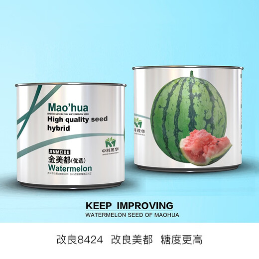 Zhongke Maohua vegetable and fruit seeds Jinmeidu watermelon seeds improved 8424 Kirin melon high purity Zhejiang Meidu watermelon seeds Jinmeidu 2000 capsules/box special for seedlings