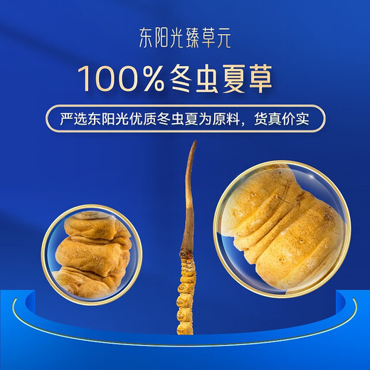 HEC Healthcare东阳光冬虫夏草含片 高端滋补礼盒 虫草补品送礼送长辈冬虫草礼品 冬虫夏草含片三盒装（90片）