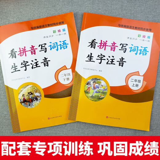 【京仓速发 明日达】小学二年级上册+下册专项训练（全2册）看拼音写词语生字注音14066**0