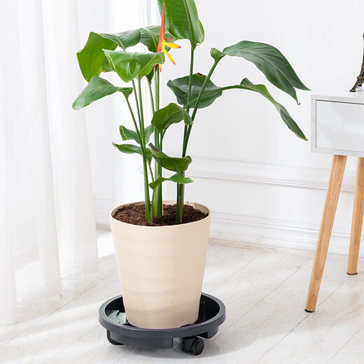 漫生活 花托万向轮花盆托盘 外径400mm内径365mm加厚移动底盘塑料花盆托
