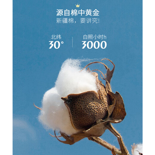 PRIDEME夏季薄款轻奢欧货冰丝光棉无痕压胶休闲t恤男短袖修身半袖男上衣 BNS2395-白色 L 【体重建议：120-130斤】