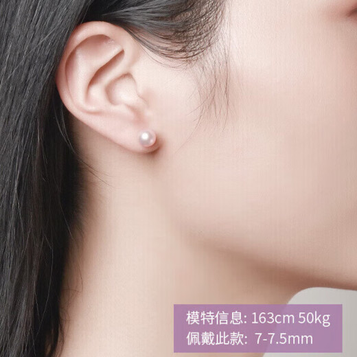 Jingrun Bingjing 18K gold akoya seawater pearl earrings round small light bulb K gold earrings 4.5-5mm for girlfriend