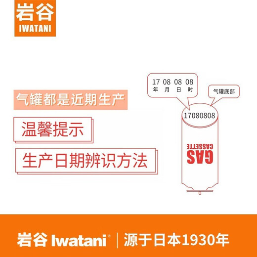 Iwatani Outdoor Portable Cassette Stove Gas Tank Gas Bottle Spray Gun Butane Gas Canned Gas Iwatani Genuine 250g*4+ Storage Bag