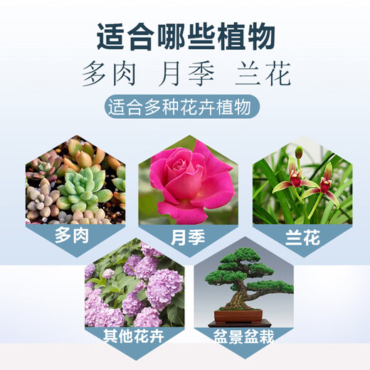 Xianpa thifuramide small powder medicine succulent rose orchid flower potted black rot and sheath blight soil fungicide