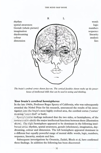 Mind Map Original Englisch Das Mind Map Buch Schweizer Taschenmesser des Gehirns Bestseller