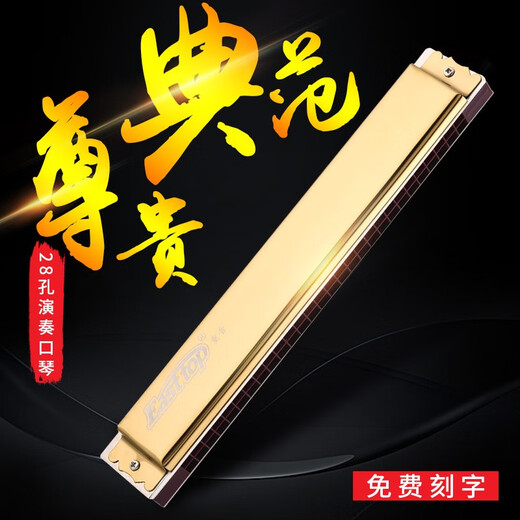 Easttop东方鼎德国进口音簧专业演奏口琴28孔复音重音口琴高级初学成人 28孔 G调 复音口琴-颜色留言