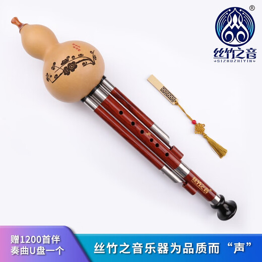 丝竹之音葫芦丝红木管梅花扣专业演奏型云南民族吹奏乐器成人葫芦丝 D调