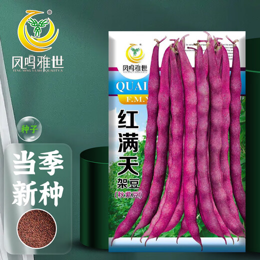 Fengming Yashi green bean seeds spring and autumn purple beans farm field planting red beans seeds 200g