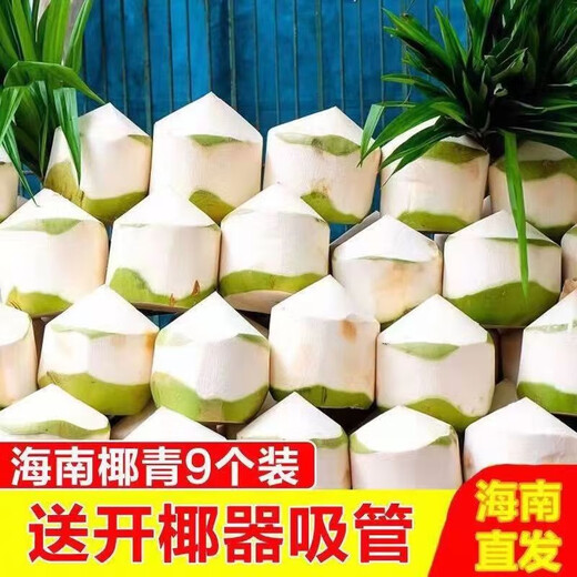 Selected large fruits, freshly picked Hainan coconut, green coconut, peeled pregnant women, goat fruit, water coconut, 4 pack