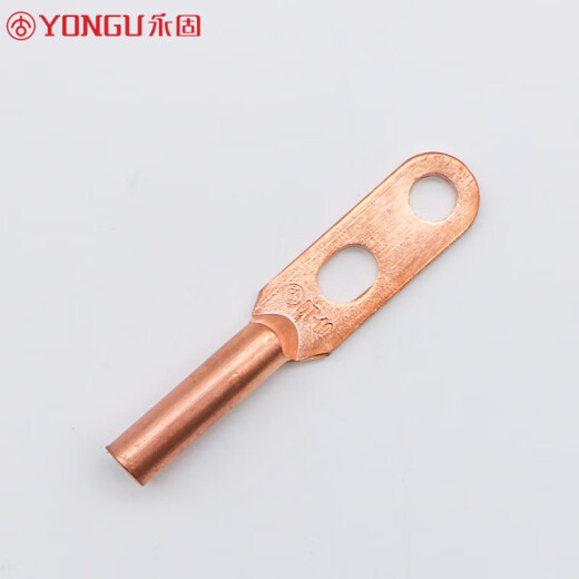 YONGU double-hole copper nose copper connector DT-10S square terminal block cable oil plug lug national standard tinned [2 pieces]