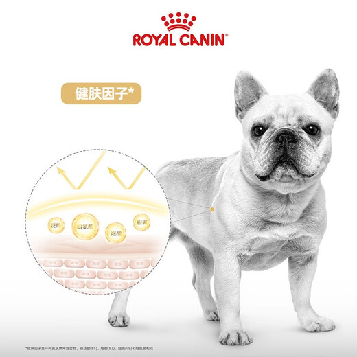 皇家狗粮 斗牛犬成犬狗粮 宠物中型犬 FBA26 全价犬粮 ≥12月 6.5KG