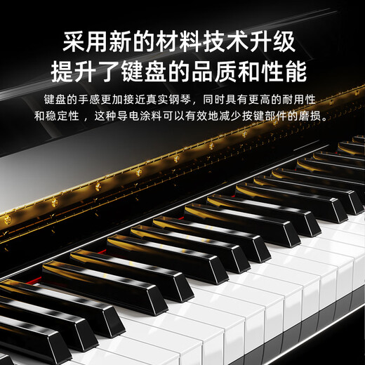 贝琪（Betsy）B338电钢琴88键重锤实木琴键专业成人家用儿童初学者立式电子钢琴 B338大立柜-烤漆黑-ABS键盘