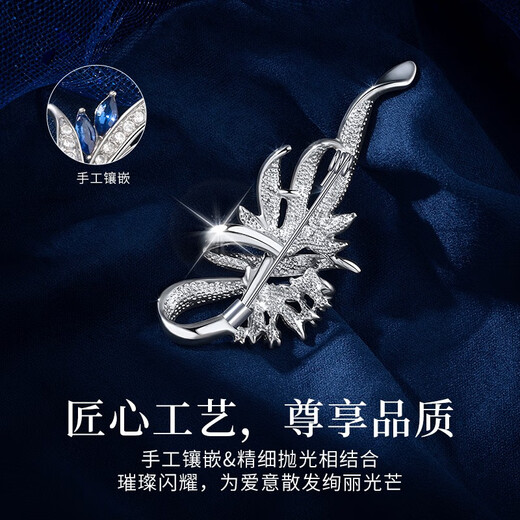 Huaying (HUAYING) light luxury high-end brooch women's corsage suit jacket brooch jewelry anniversary birthday gift for girlfriend and wife brilliant zircon luxury star brooch