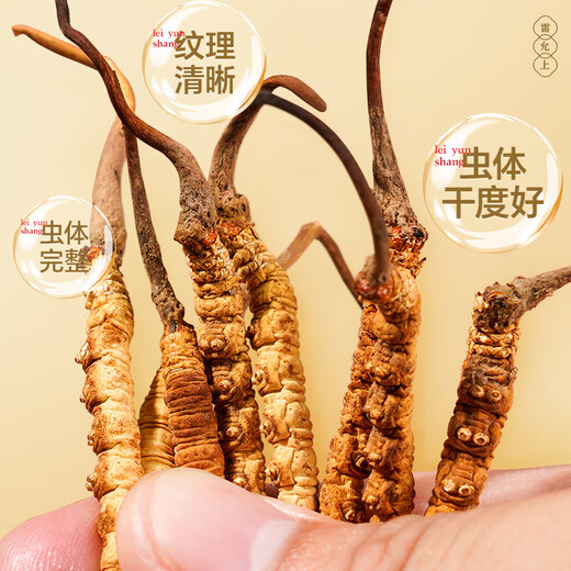 雷允上野生冬虫夏草5根/g 10g约50根那曲虫草礼盒送父母长辈礼物