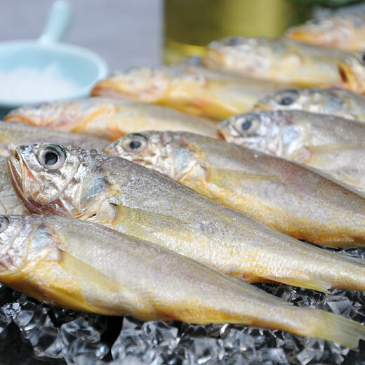 Pure color and original flavor Frozen Zhoushan small yellow croaker 2.8 Jin Jin equals 0.5 kg Barbecue ingredients Fresh fish
