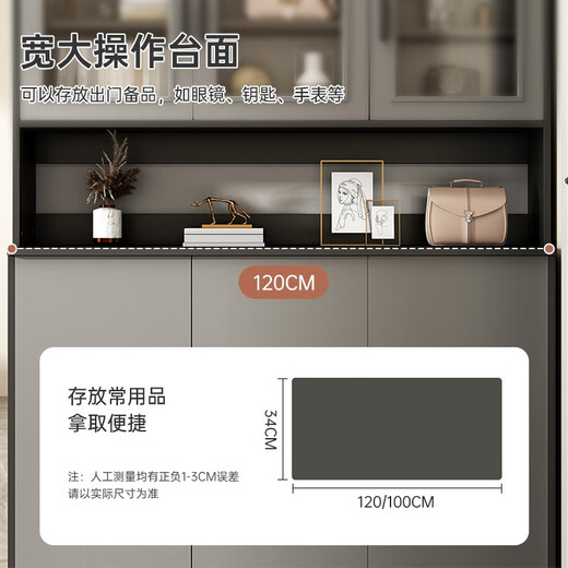 YOUAN Shoe Cabinet Home Door Storage Cabinet Large Capacity Entrance Cabinet Simple All-in-One Storage Cabinet Recommended High Style丨100cm Sky Gray