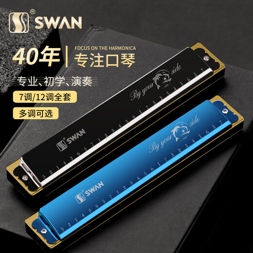 天鹅（SWAN）海豚口琴初学者小学生儿童入门24孔复音C调a调男士专用 星光黑【初学C调+自学礼包+视频
