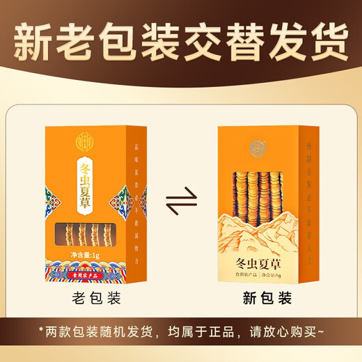 Usado en la cancha interior [Beijing Tongrentang First Golden Grass] Cordyceps sinensis 1G aproximadamente 3-5 pasto nutritivo empapado en vino y regalos