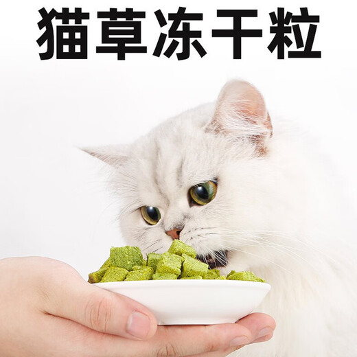 Mengshigu cat grass freeze-dried cat grass has been planted, hair removal balls, ready-to-eat cat snacks, chicken breast meat cubes, freeze-dried cat grass, three cans of freeze-dried cat grass granules