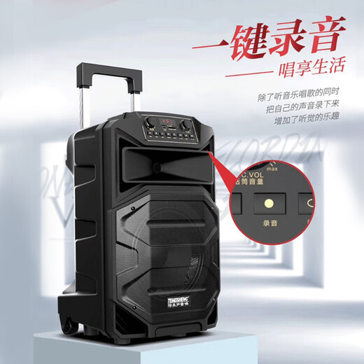 TEMEISHENG SL12-31Pro outdoor square dance karaoke audio high-power portable trolley Bluetooth mobile speaker 12-inch standard + 2 wireless microphones + gift bag (gift)