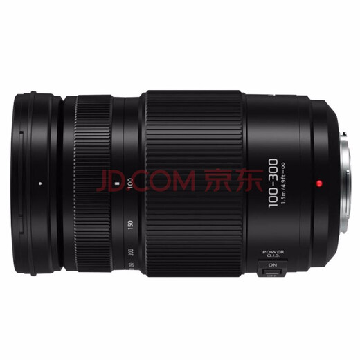 Panasonic 100-300mm F4.0-5.6 second generation mirrorless digital camera lens telephoto lens M43 mount black Macro 4/3 system interface